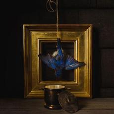 The Beholder mp3 Album by Claire Dickson