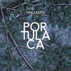 Portulaca mp3 Album by Colleoni