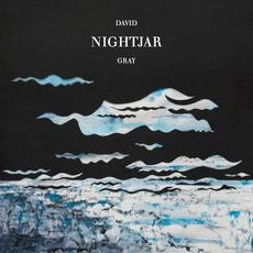 Nightjar mp3 Album by David Gray