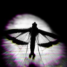 Scorpio mp3 Single by The Silent Era