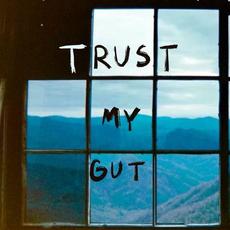 Trust My Gut mp3 Single by The Band Solstice