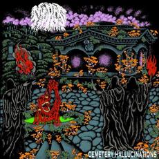 Cemetery Hallucinations mp3 Album by MOROS