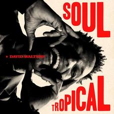 Soul Tropical mp3 Album by David Walters