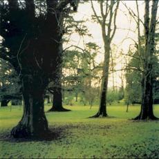 Brooklyn Wednesday mp3 Live by Jandek