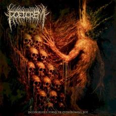 Incongruous Forms of Evergrowing Rot mp3 Album by Foetorem