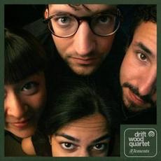 Elements mp3 Album by Driftwood Quartet