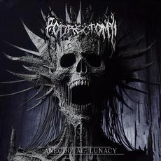 Anecdotal Lunacy mp3 Album by Podrectomy