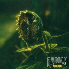Subterfuge mp3 Album by Radian (USA)