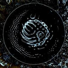 Space to Dive mp3 Album by Stonus