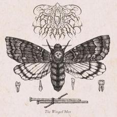 The Winged Man mp3 Album by Banshee Moon