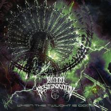 When The Twilight Is Gone mp3 Album by Blood Resignation