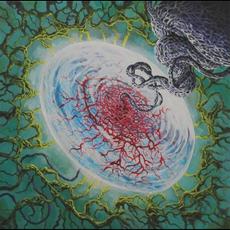 Consecrated Abysses of Dread mp3 Album by Bekor Qilish