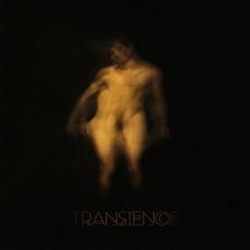 Transience mp3 Album by Wormhog