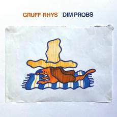 Dim Probs mp3 Album by Gruff Rhys