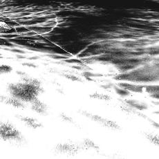 Avenue Blues mp3 Album by Lowpines