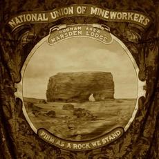 Firm as a Rock We Stand (Brass Mixes) mp3 Album by LYR