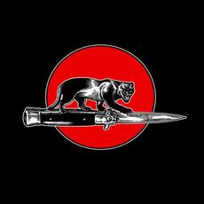 CAT FIGHT mp3 Album by Jim Jones All Stars