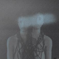 A New Idol mp3 Album by Public Circuit