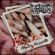 Organ Maggots mp3 Album by Pulmonary Fibrosis
