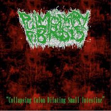 Collapsing Colon Dilating Small Intestine mp3 Album by Pulmonary Fibrosis