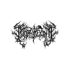 Desastre Visceral mp3 Album by Mortecina