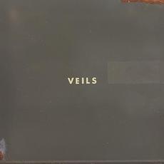Veils mp3 Album by Vanessa Carlton