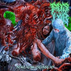 Organs Remain, Creature Rot mp3 Album by Pus Lab