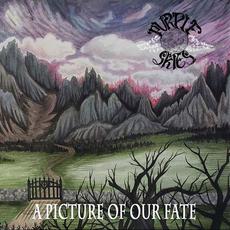 A Picture Of Our Fate mp3 Album by Purple Skies