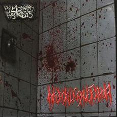 Pulmonary Fibrosis / NecroKillGraveTerror mp3 Album by Pulmonary Fibrosis