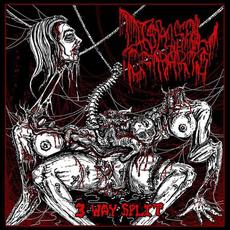 Disposal Of Parts (3 Way) mp3 Album by Pulmonary Fibrosis