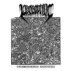 Undimensioned Identities mp3 Album by Phobophilic