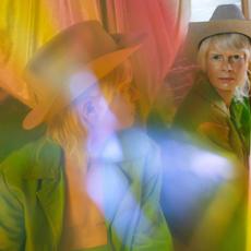 Assigned Country Singer At Birth mp3 Album by Rae Spoon