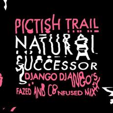 Natural Successor (Django Django's 'Fazed and Confused Remix') mp3 Single by The Pictish Trail