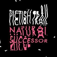 Natural Successor mp3 Single by The Pictish Trail