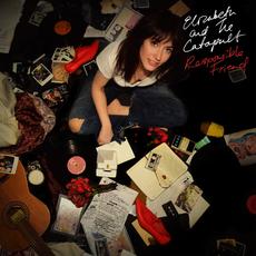 Responsible Friend mp3 Album by Elizabeth & The Catapult