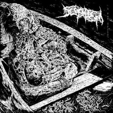 Scaphism mp3 Album by Ecchymosis