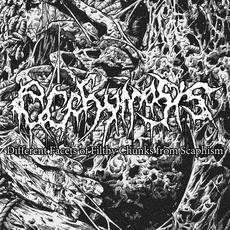Different Facets of Filthy Chunks From Scaphism mp3 Album by Ecchymosis