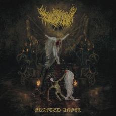 Grafted Angel mp3 Album by Dollhaver