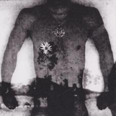 Winter Tour (Demo) mp3 Album by Division of Mind