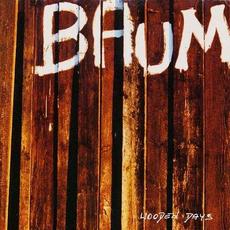 Wooden Days mp3 Album by Andy Baum