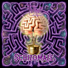 Schizomaze mp3 Album by Tollheit