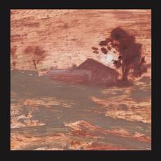Diet Of Worms mp3 Album by The Shits