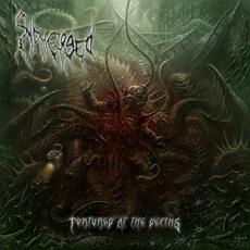 Tortured In The Depths mp3 Album by Submerged
