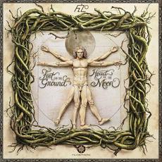 Feet on the Ground, Head on the Moon mp3 Album by Filo