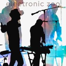 Shadows mp3 Album by Electronic Zoo