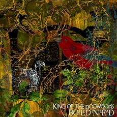 King of the Dogwoods mp3 Album by Boiled in Lead