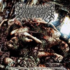 Beautifying Loathsome Cadavers mp3 Album by Cardiomyotomy