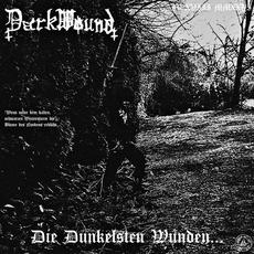 die dunkelsten wunden mp3 Album by darkwound