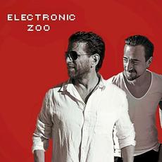Burn It Down / This Heart Is My Own mp3 Single by Electronic Zoo