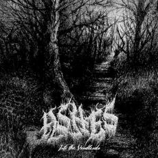 Into the Woodlands mp3 Album by Ashes